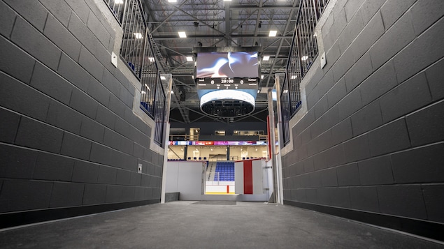 Le long parcours menant au premier match des Lions de Trois-Rivières au Colisée Vidéotron