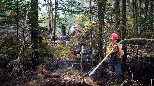 A firefighter with the Department of Natural Resources fights a forest fire.