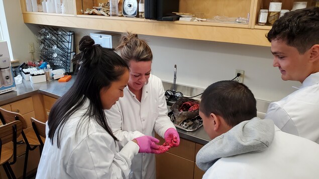 Une biologiste monrte un morceau d'une outarde qu'elle vient de disséquer à des étudiants.