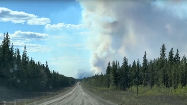 a road shown in a forest as smoke billows up behind