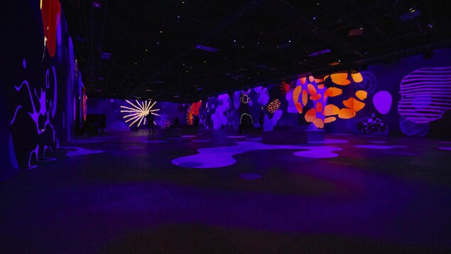 Une grande salle sur les murs de laquelle sont projetés des motifs de formes et de couleurs diverses.
