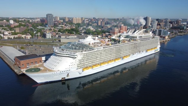 Photo aérienne d'un immense bateau de croisière, avec de hauts édifices du centre-ville d'Halifax derrière.
