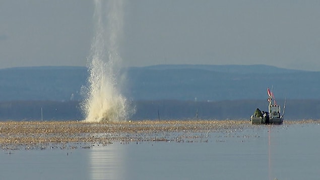 L’opération de retrait d’obus dans le lac Saint-Pierre en mode ralenti
