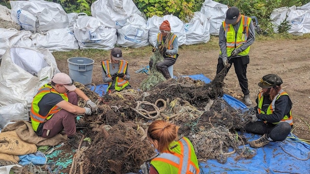 An Ocean Legacy cleanup crew sorts through rope from lost or abandoned fishing gear in Alert Bay, B.C., during the 2023-2024 cleanup season