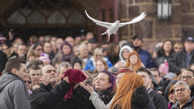 Une foule de gens observent un groupe libérer une colombe, qui s'envole au-dessus des têtes.