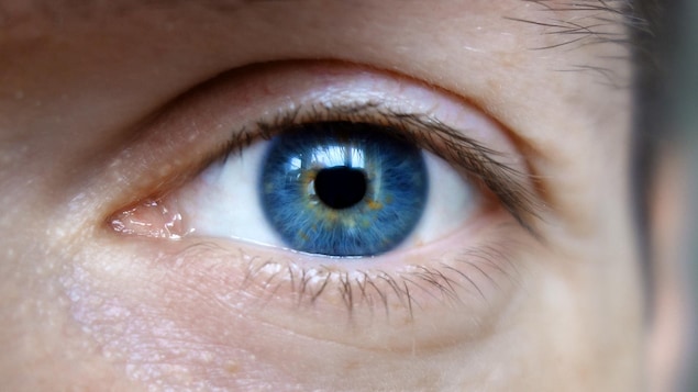 L'oeil d'un homme.