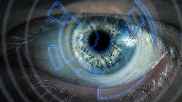 La taille de vos pupilles varie en fonction du nombre d’objets que vous regardez