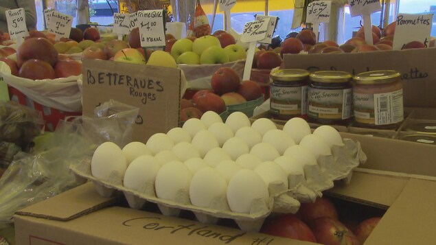 Un carton d'oeufs dans l'étalage d'un producteur agricole Un carton d'oeufs dans l'étalage d'un producteur agricole