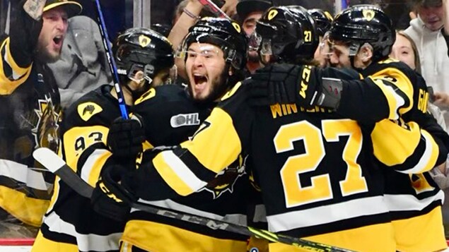 Les Bulldogs accèdent à la Coupe Memorial en l’emportant 6-1 contre Windsor