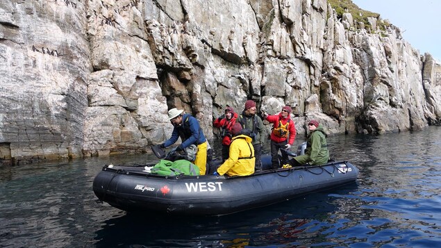 Visite de la colonie d'oiseaux pour les passagers du CanadaC3 sur l'île de Hantzsch Visite de la colonie d'oiseaux pour les passagers du CanadaC3 sur l'île de Hantzsch