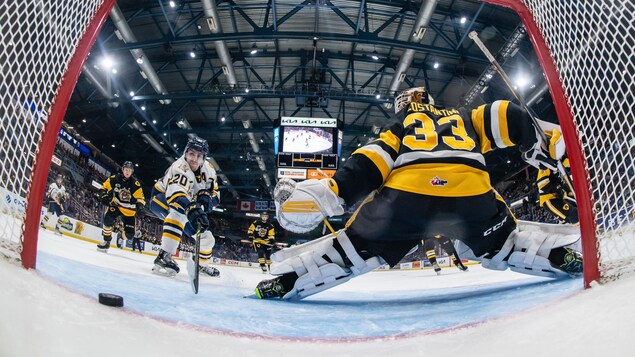 Cataractes - Sea Dogs : le gagnant ira directement en finale de la Coupe Memorial