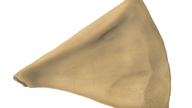 Sur fond blanc, une omoplate d'orignale triangulaire est ornée d'une gravure. 