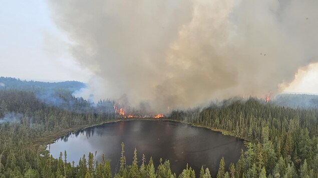 Au-delà des forêts, les feux ont aussi un impact sur l’approvisionnement en eau potable