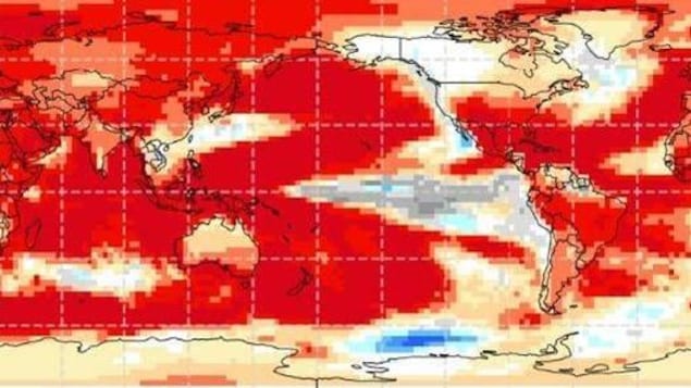 Modèle des températures de février 2025.