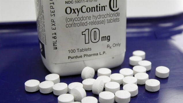 Des comprimés d'OxyContin.