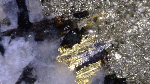 Un projet de mine d’or approuvé à Terre-Neuve-et-Labrador