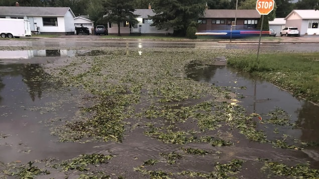 Une route inondée après le passage d'une tempête dans le sud de la Saskatchewan dans la soirée du mardi 31 août 2021