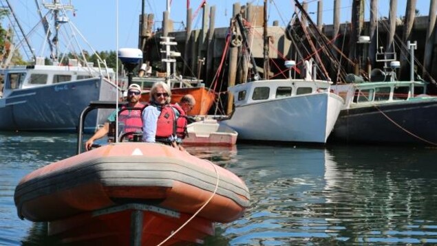 L'organisme dont Joe Howlett faisait partie accepte toujours de participer à des missions de secours. Des membres pensent cependant que le fédéral devrait leur accorder plus de financement. L'organisme dont Joe Howlett faisait partie accepte toujours de participer à des missions de secours. Des membres pensent cependant que le fédéral devrait leur accorder plus de financement.