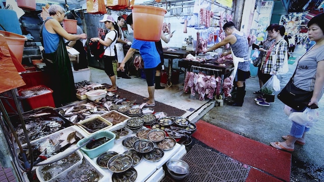 Le marché Huanan, à Wuhan, à l’origine de la pandémie, selon de nouvelles études