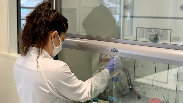 Une employée à l'oeuvre dans un laboratoire.