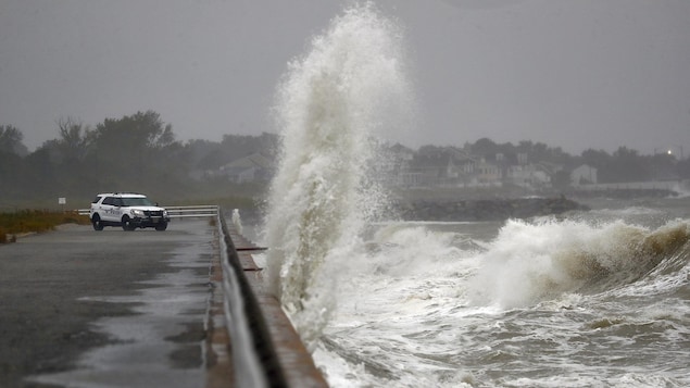 Hautes vagues frappant le rivage.