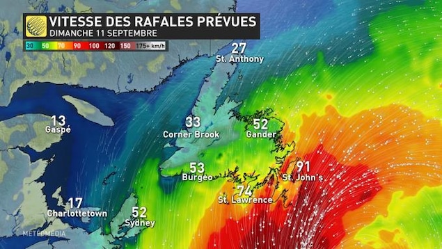 L’ouragan Earl faiblit, mais il frappera la péninsule d’Avalon