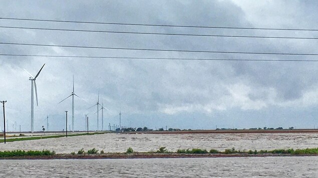 Des champs inondés au Texas Des champs inondés au Texas