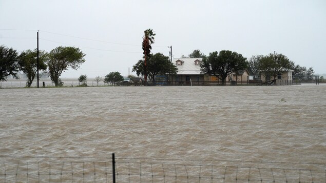 Une ferme est entourée d'eau, à l'instar de nombreuses autres habitations le long de la côte texane, inondée suite au passage de l'ouragan Harvey.