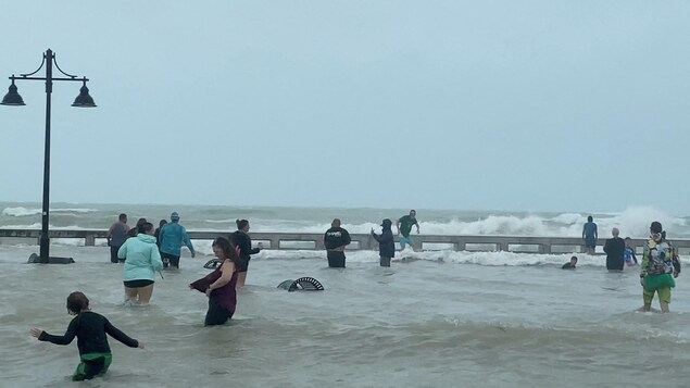 Des gens sont sur une promenade, près de la mer, pendant que l'eau monte.