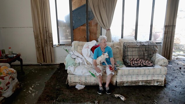 Une vieille dame assise sur un divan avec son petit chien et sa cage à côté. Le divan est sale, au milieu d'un salon sale et plein de débris de la tempête. Une vieille dame assise sur un divan avec son petit chien et sa cage à côté. Le divan est sale, au milieu d'un salon sale et plein de débris de la tempête.