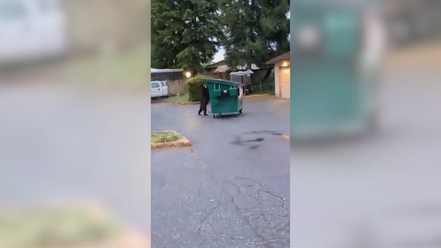 Un ours debout en train de pousser une benne à ordure.