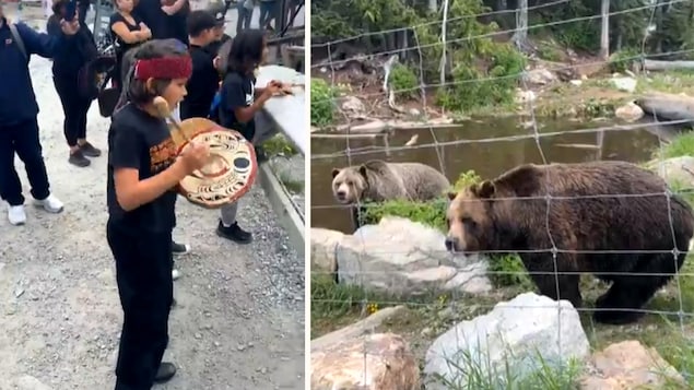 Montage d'une photo de jeune en train de jouer de la musique traditionnelle et une photo de deux ours.