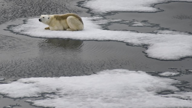 Rapport du GIEC sur le climat : la crise des crises