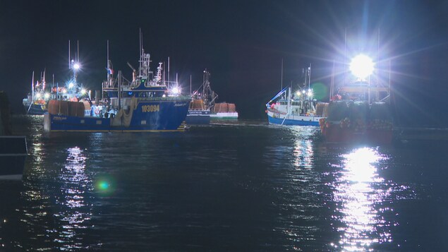 Barrieres Au Quai De Shippagan Mesure De Securite Ou Atteinte A Une Tradition Radio Canada Ca