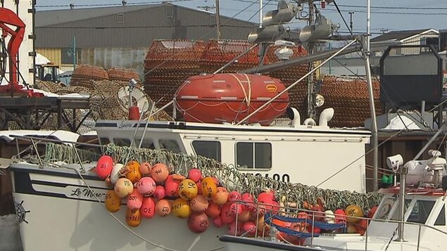 De nombreux bateaux de pêche sont aujourd'hui équipés de l'Ovatek, un radeau de sauvetage en forme d'oeuf. De nombreux bateaux de pêche sont aujourd'hui équipés de l'Ovatek, un radeau de sauvetage en forme d'oeuf.