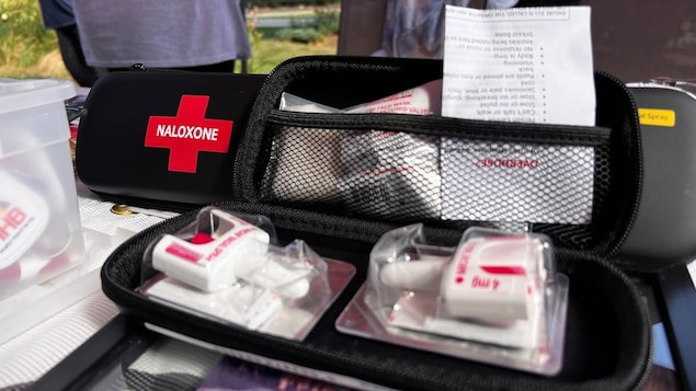 The contents of a naloxone kit.