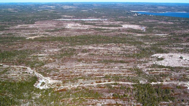 Un groupe environnemental porte en appel un jugement sur le parc Owls Head