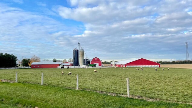 Oxford, le comté ontarien qui veut être carboneutre d’ici 2050
