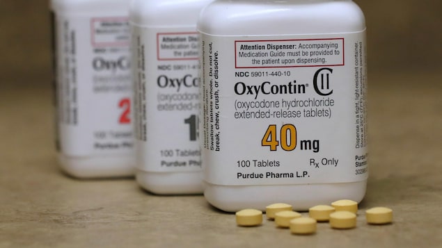 Des bouteilles contenant des pilules d'OxyContin de concentrations variées.