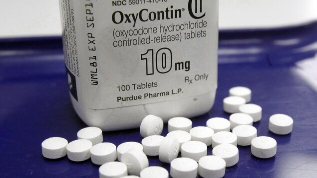 OxyContin OxyContin