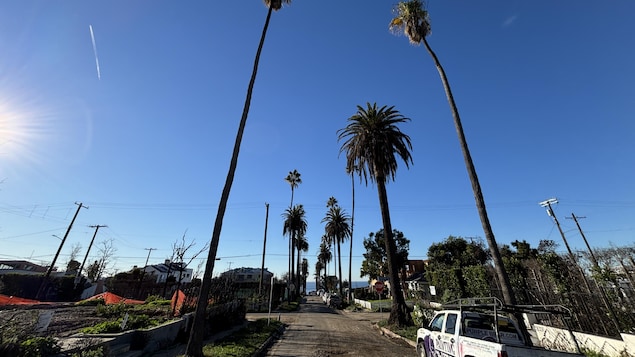 Un an après les feux en Californie, les braises de la colère