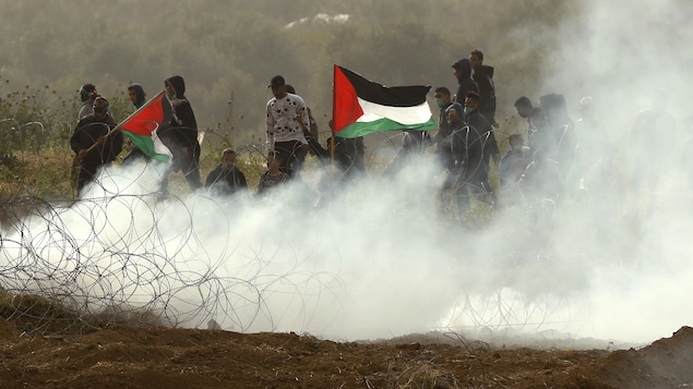 Des jeunes manifestants portant le drapeau palestinien au milieu d'une fumée de gaz lacrymogène, non loin de la frontière israélienne.