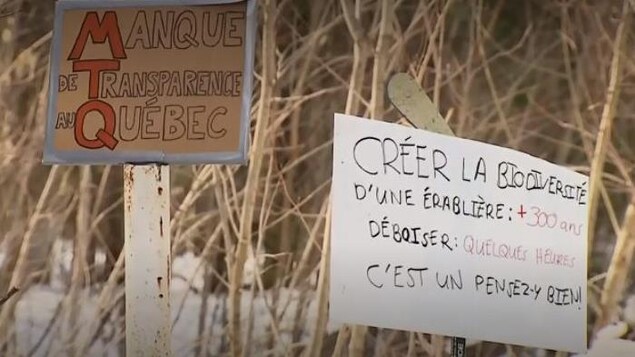 Des pancartes disant « Manque de Transparence au Québec » et « Créer la biodiversité d'une érablière : +300 ans, déboiser : quelques heures. C'est un pensez-y bien! »