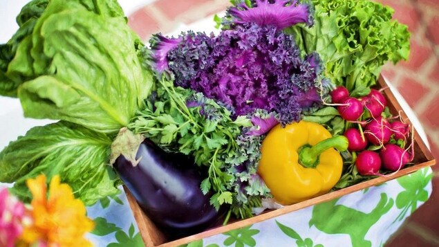 Un panier de légumes.