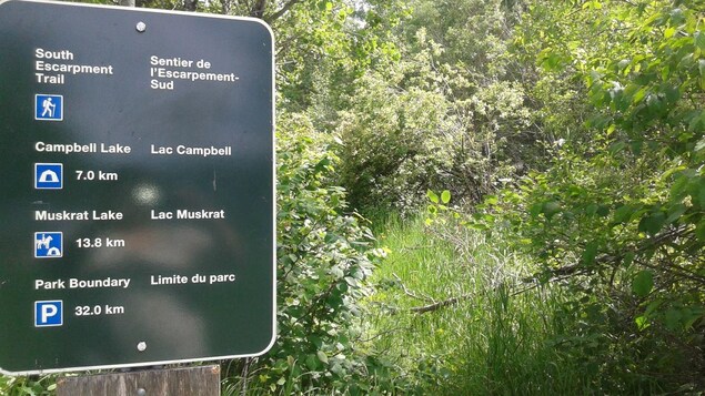 Un panneau indiquant les sentiers du parc Mont-Riding Un panneau indiquant les sentiers du parc Mont-Riding