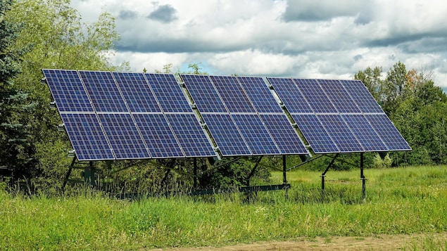 Des panneaux solaires dans un jardin en Alberta le 4 août 2022.