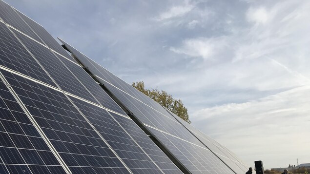 Des panneaux solaires