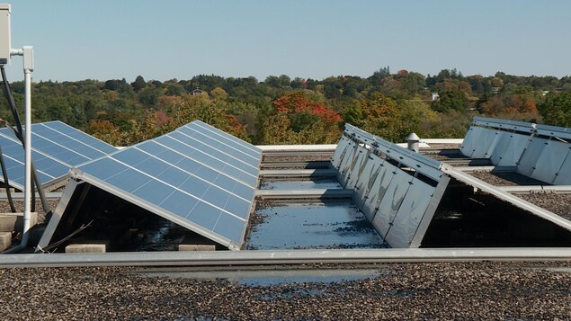 Plusieurs rangées de panneaux solaires sur un toit. On peut voir au loin des arbres de Guelph à l'horizon. Plusieurs rangées de panneaux solaires sur un toit. On peut voir au loin des arbres de Guelph à l'horizon.