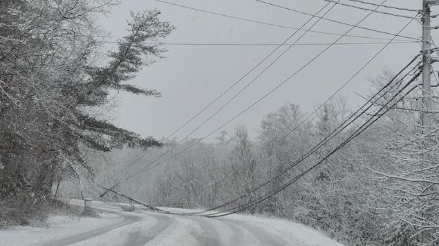 Une ligne électrique tombée sur une route enneigée, en Nouvelle-Écosse.