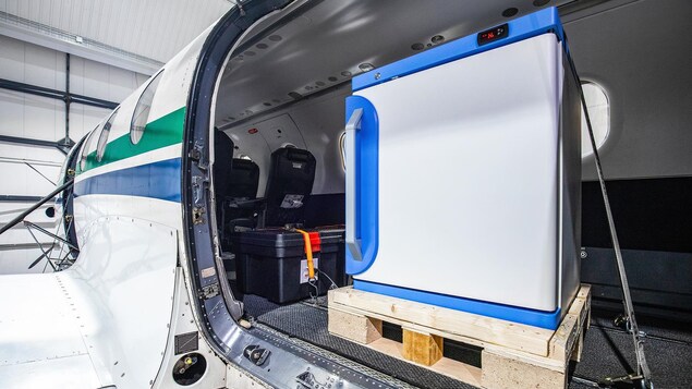 Des caisses de vaccins à l'intérieur d'un avion